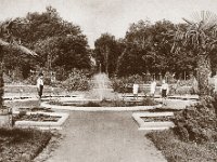 Botanički vrt, Mihanovićeva ulica, bazen s tropskim biljem 1930. godine